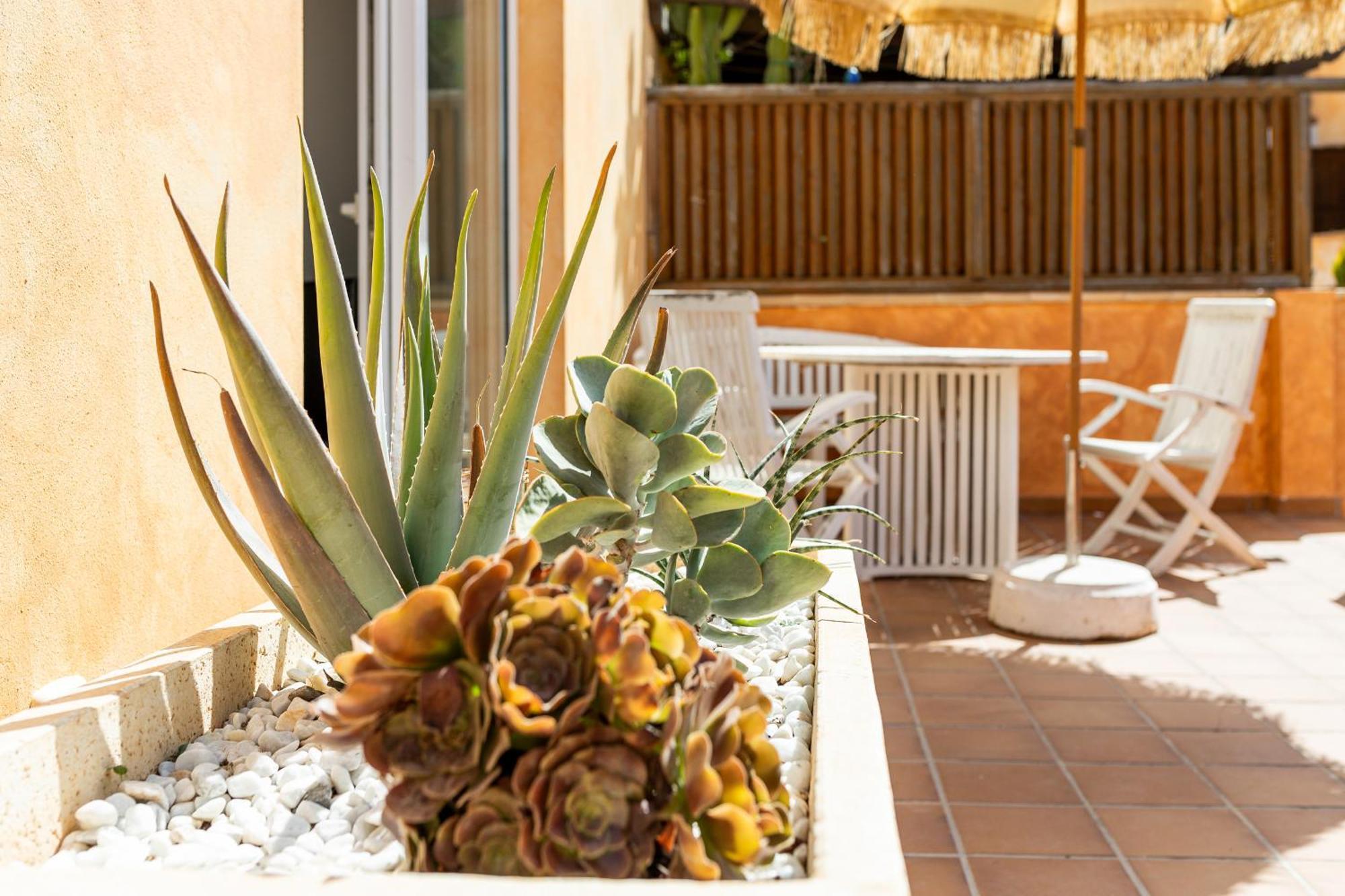 Palm Beach House 科拉雷侯 外观 照片